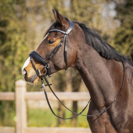 Cabezada de Montar "SKYE" de QHP
