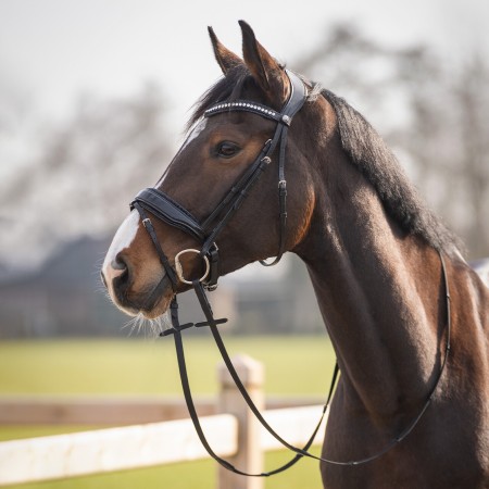 Cabezada de Montar "SKYE" de QHP