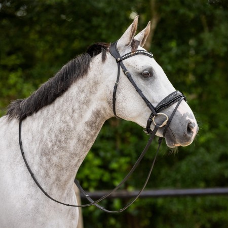 Cabezada de Montar "SKYE" de QHP
