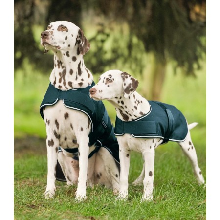 OT Manta de Lluvia para Perros de Waldhausen Verde Talla 60cm