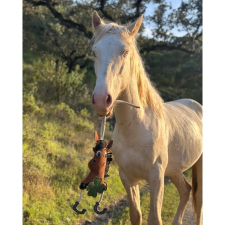 Juguete para caballo "GOOD LUCK" de QHP