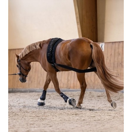 Cabezada de Caballo para Dar Cuerda de Waldhausen