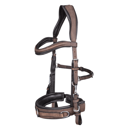 Cabezada de Caballo para Dar Cuerda de Waldhausen