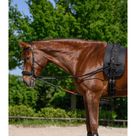 Riendas fijas "W-TRAINREIN" de WALDHAUSEN
