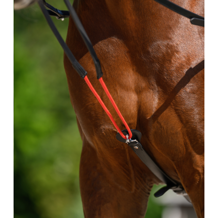 Riendas fijas "W-TRAINREIN" de WALDHAUSEN