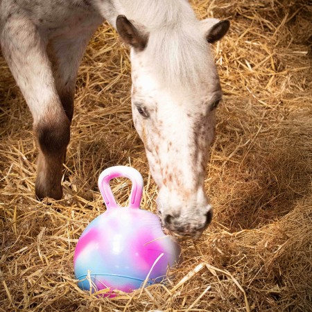 Pelota con asa de HARRY'S HORSE