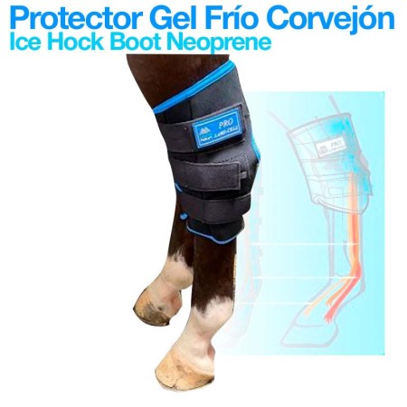 Protector de frío para corvejón de ZALDI