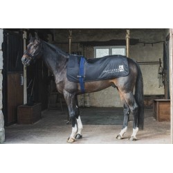 Calentador para dorso "IWARM" de EQUITHÈME 2