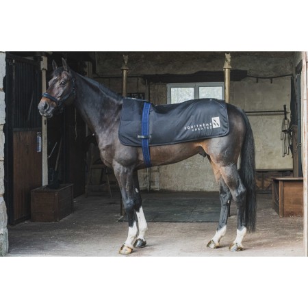 Calentador para dorso "IWARM" de EQUITHÈME