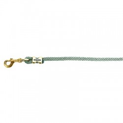 Ramal con hebillas satinado dorado de EQUITHÈME