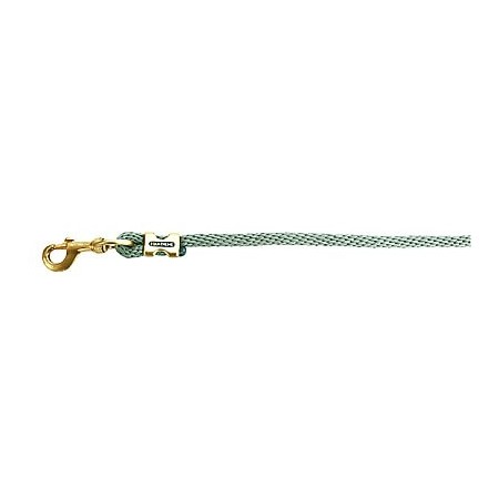 Ramal con hebillas satinado dorado de EQUITHÈME