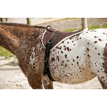 Bareback Norton Soft
