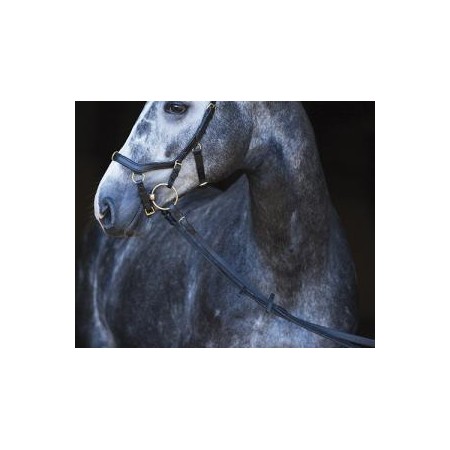 RIENDAS RAMBO MICKLEM MULTIBRIDLE ORIGINAL
