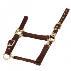 Cabezada de cuadra de nylon con hebillas satinado dorado de EQUITHÈME
