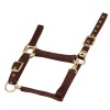 Cabezada de cuadra de nylon con hebillas satinado dorado de EQUITHÈME