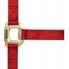 Cabezada de cuadra de nylon con hebillas satinado dorado de EQUITHÈME