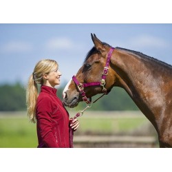 Cabezada de cuadra para caballo de nylon con hebillas doradas satinadas de Equi-Thème