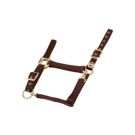Cabezada de cuadra para caballo de nylon con hebillas doradas satinadas de Equi-Thème