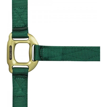 Cabezada de cuadra para caballo de nylon con hebillas doradas satinadas de Equi-Thème
