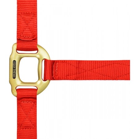Cabezada de cuadra para caballo de nylon con hebillas doradas satinadas de Equi-Thème
