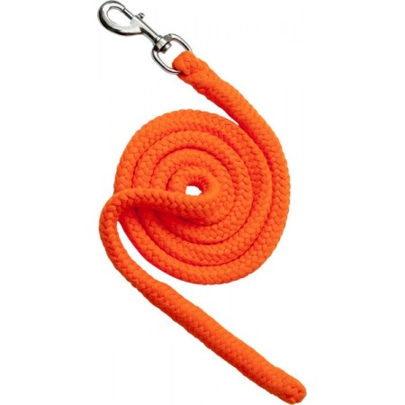 Ramal Neón