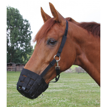 Bozal para caballo Waldhausen