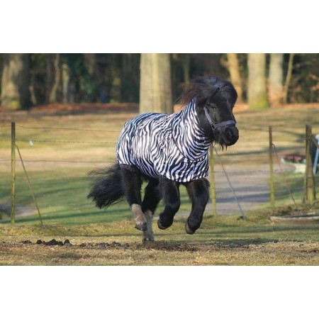 Manta caballo anti-eczema QHP