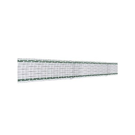 Cinta 40 mm "Classic" de Beaumont