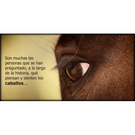 Libro SI EL HUMANO SUPIERA, un mensaje de los caballos para toda la humanidad