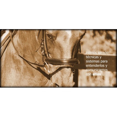 Libro SI EL HUMANO SUPIERA, un mensaje de los caballos para toda la humanidad