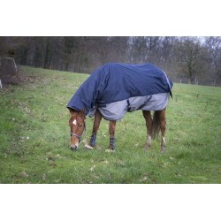 Manta de paddock con cubrecuello y acolchado de 200 g Equi-Thème Tyrex 600 D Combo