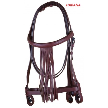 Cabezada vaquera Rocio PONI