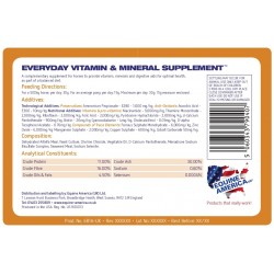 EVERYDAY VITAMIN & MINERAL 2