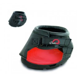 Zapato caballo CAVALLO S80  2