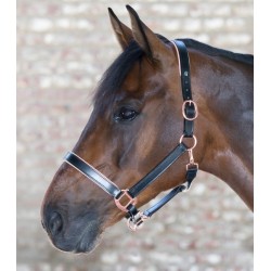 Cabezada de cuadra Waldhausen X-Line Rosé 2