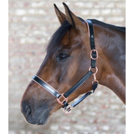 Cabezada de cuadra Waldhausen X-Line Rosé