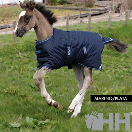 Manta  AMIGO Foal Potrillo Medium Exterior