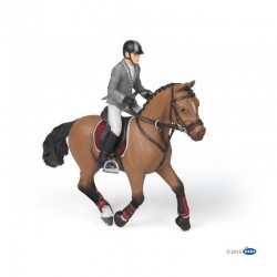 Caballo de concurso con su Jinete de PAPO