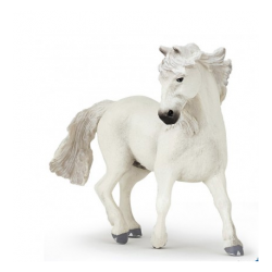 Camargue PAPO