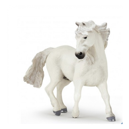 Camargue PAPO