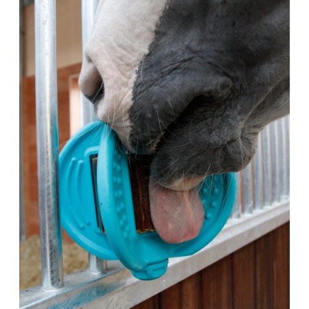 Bizzy Ball de Bizzy Horse