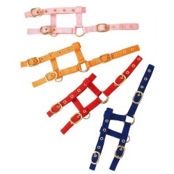 Cabezada de cuadra "Mini" ajustable