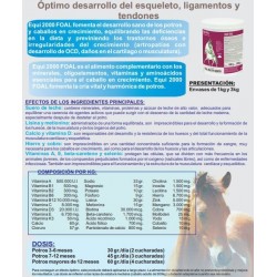 Equi 2000 Foal desarrollo del esqueleto ligamentos y tendones del potro 2