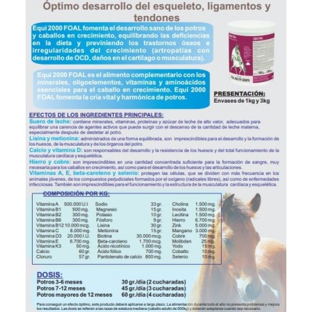 Equi 2000 Foal desarrollo del esqueleto, ligamentos y tendones del potro