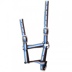 Cabezada de cuadra para potro ajustable