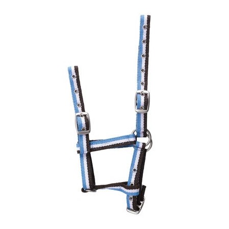 Cabezada de cuadra para potro ajustable