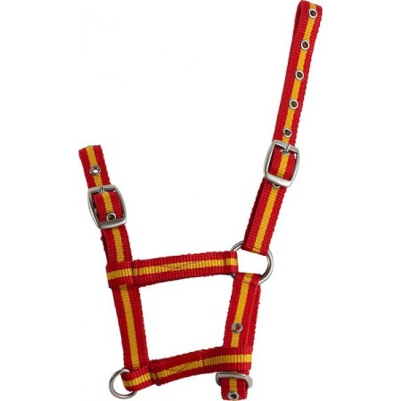 Cabezada de cuadra para potro ajustable
