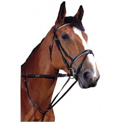 Sistema Thiedeman o Howlett Norton
