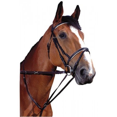Sistema Thiedeman o Howlett Norton