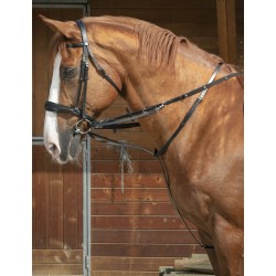 Sistema Thiedeman o Howlett Norton 2